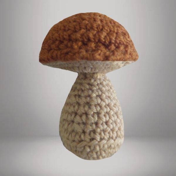 CHAMPIGNON EN LAINE