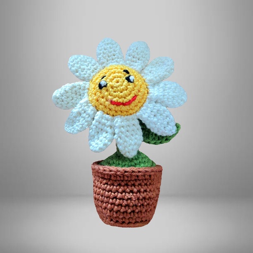 MARGUERITE EN POT, EN COTON